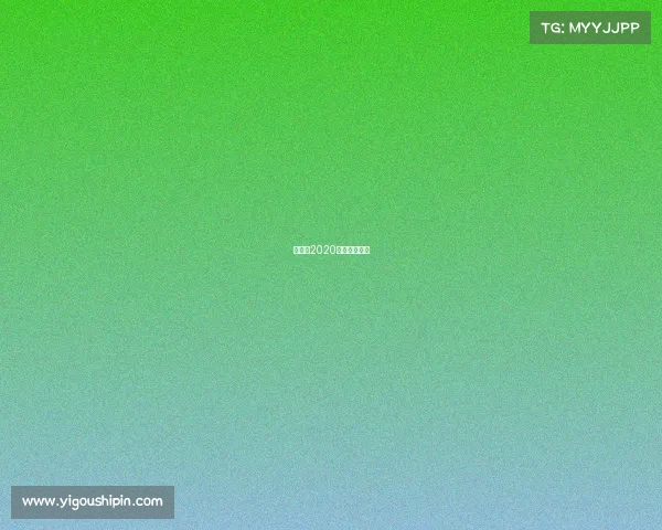 董文飞2020最新比赛视频